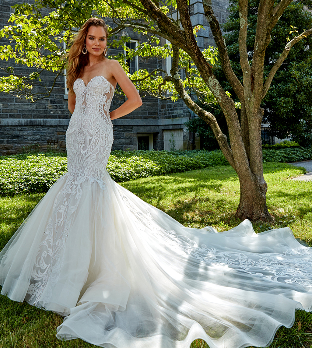 Amalia Carrara Trunk Show Main Image