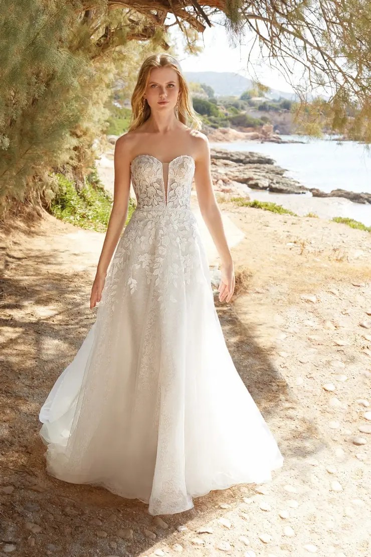 Demetrios Trunk Show