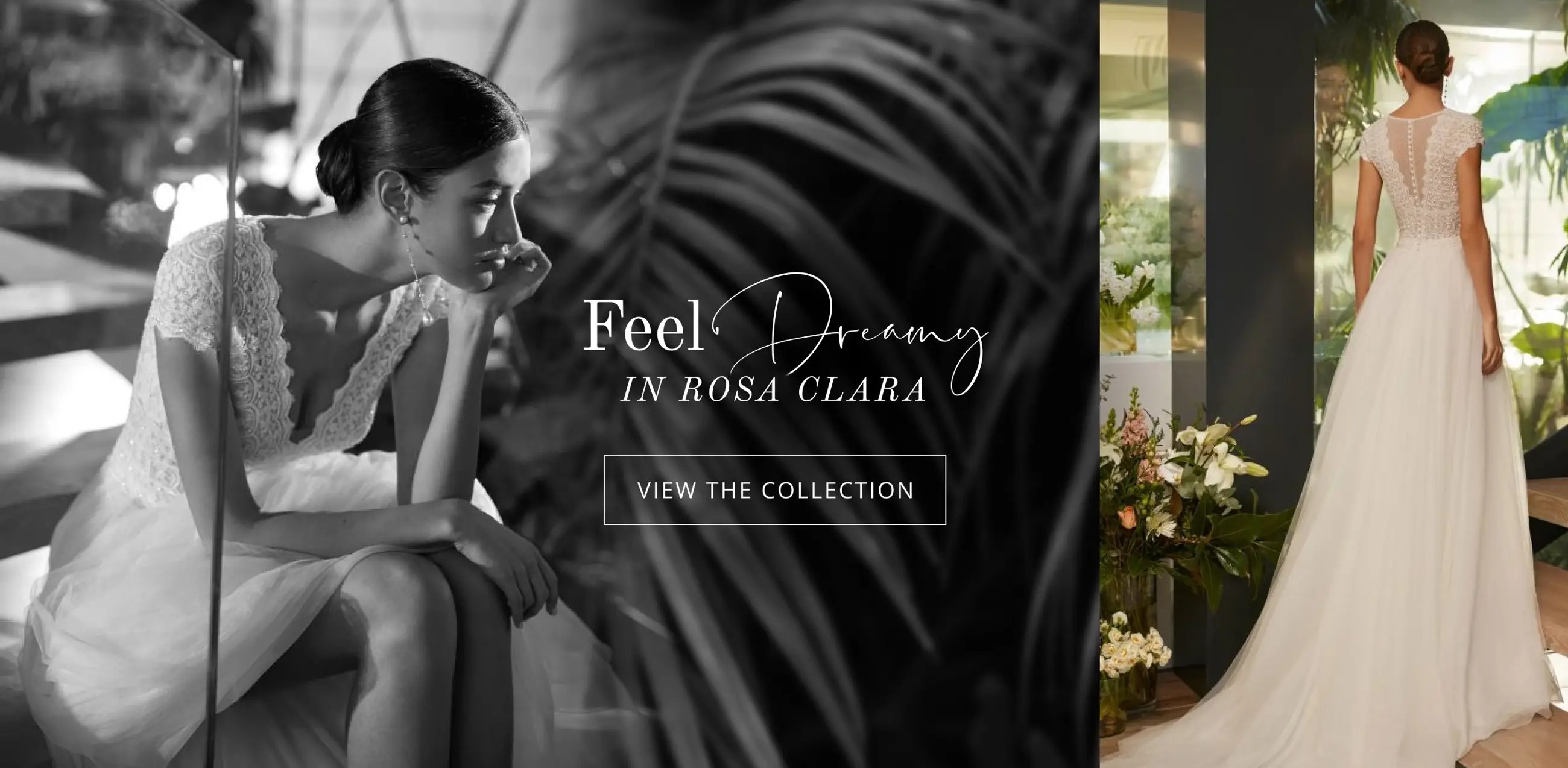 Rosa Clara Desktop Banner